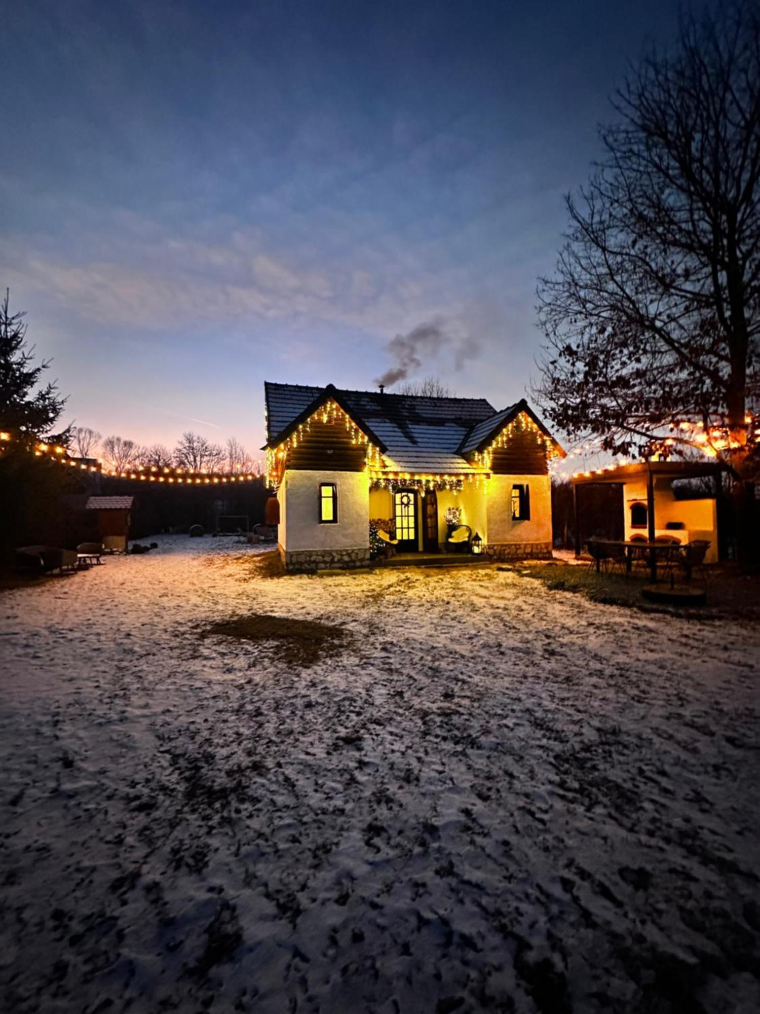 Cuib Din Fagaras Villa Avrig Luaran gambar
